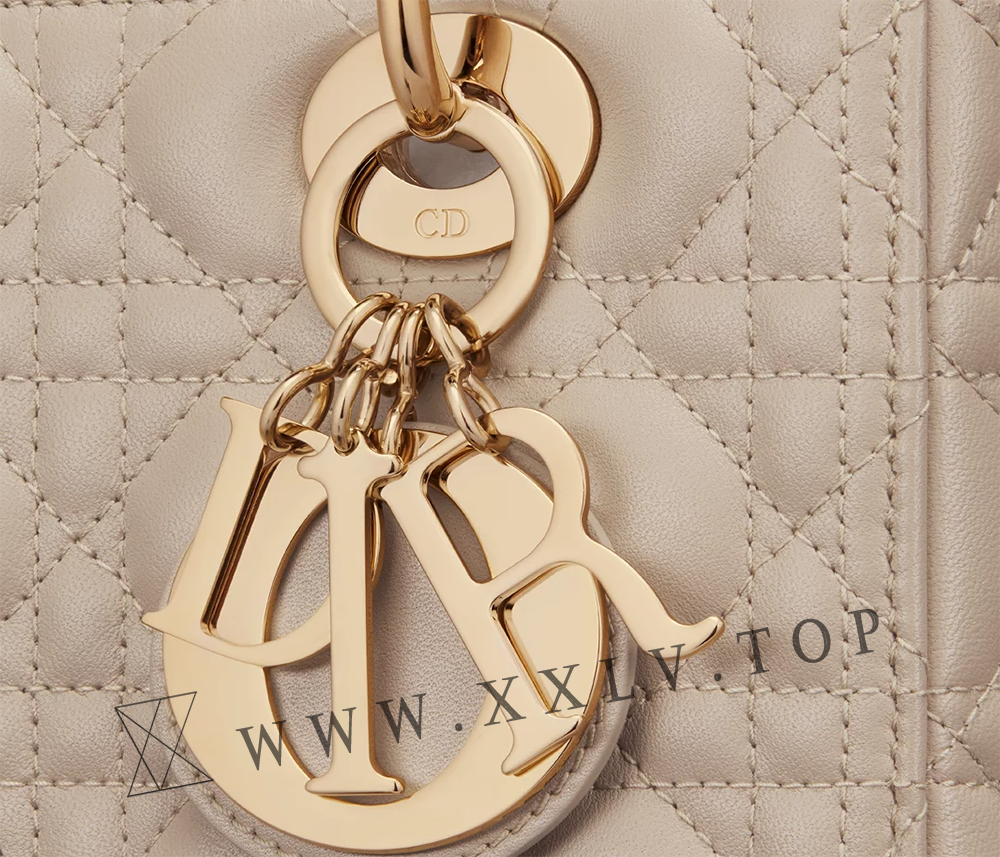Medium Lady Dior Bag - Image 2