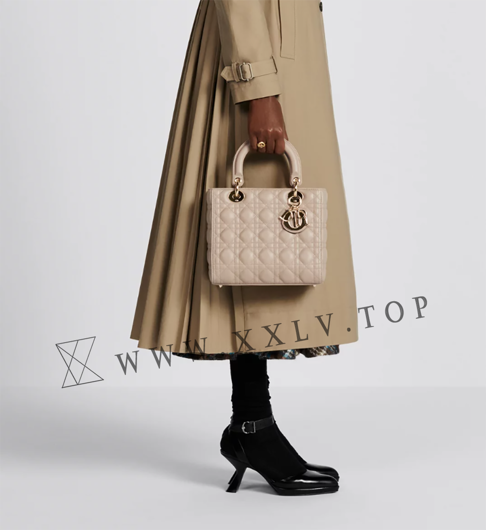 Medium Lady Dior Bag - Image 6