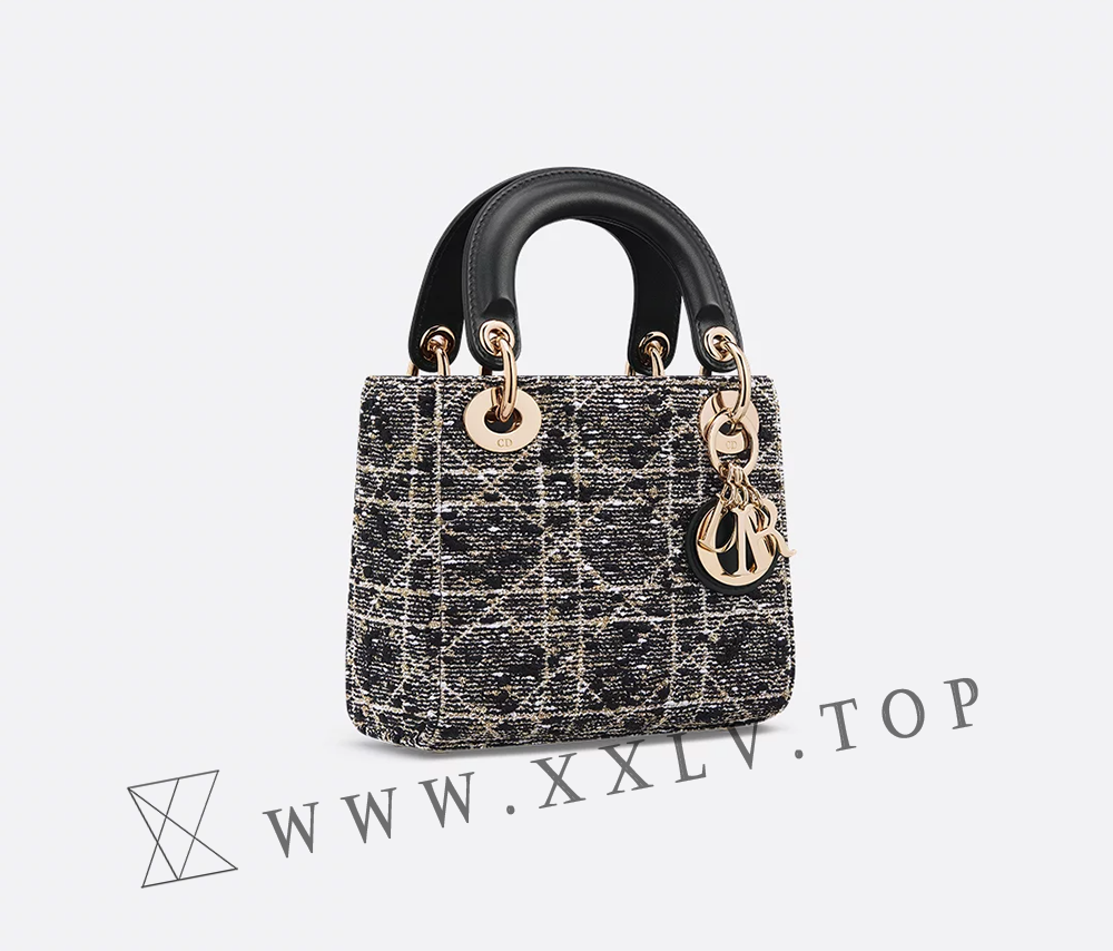 Mini Lady Dior Bag - Image 2