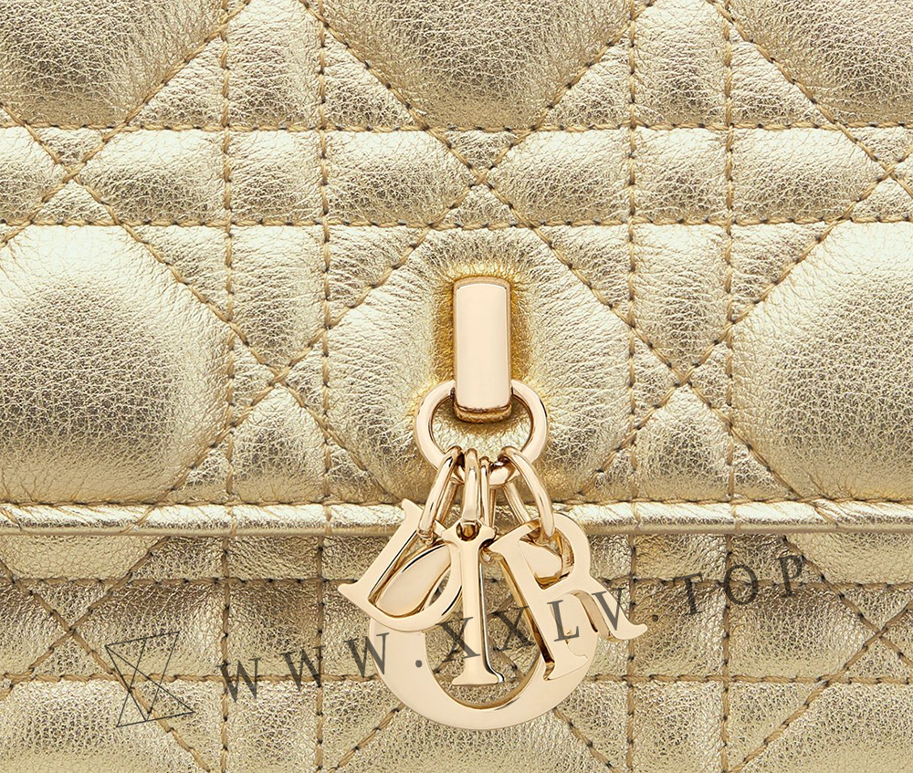 My Dior Mini Bag - Image 2