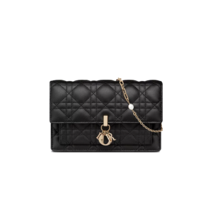 My Dior Daily Chain Pouch