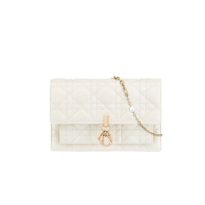 My Dior Daily Chain Pouch