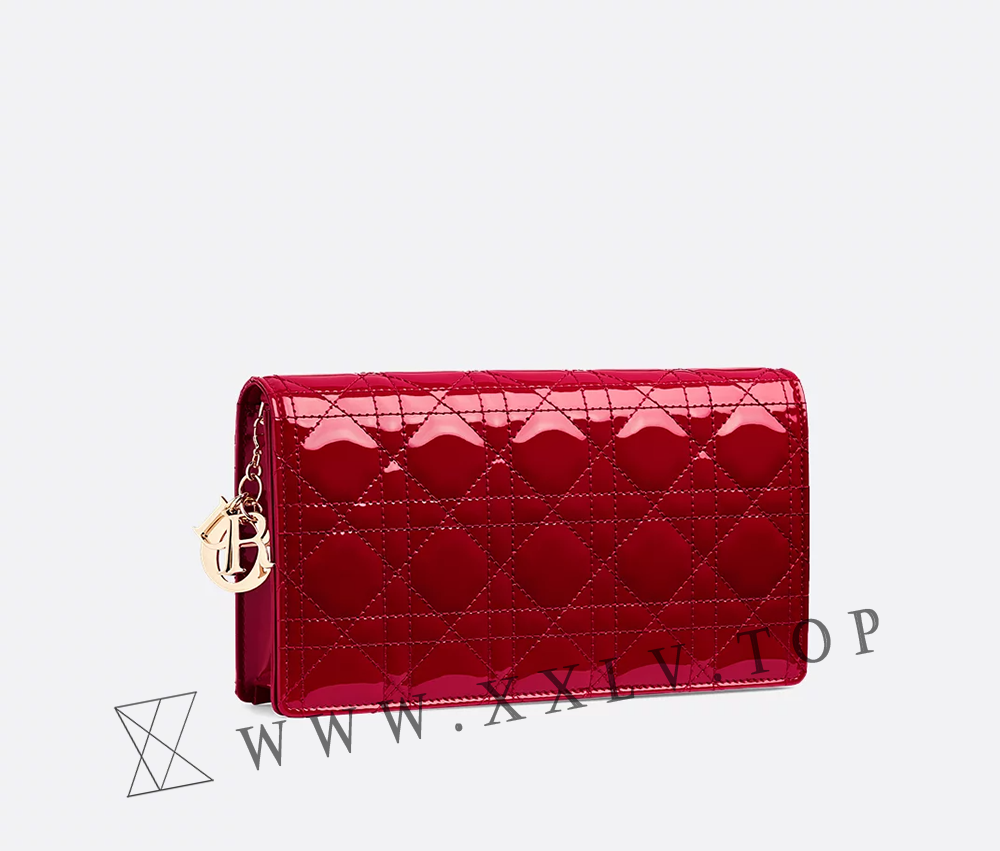 Lady Dior Pouch with Chain - Image 4