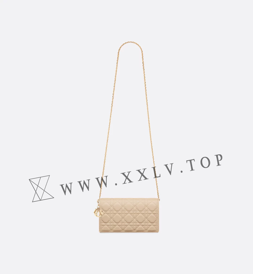 Lady Dior Pouch with Chain - Image 5