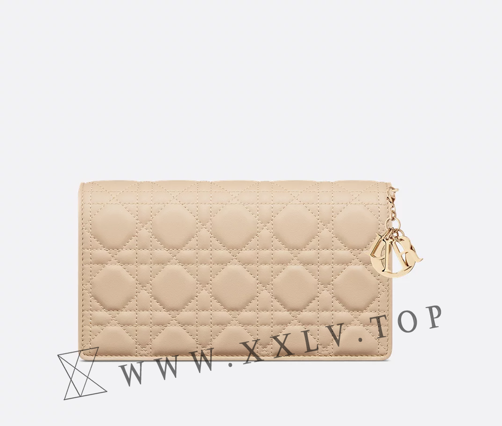 Lady Dior Pouch with Chain - Image 4