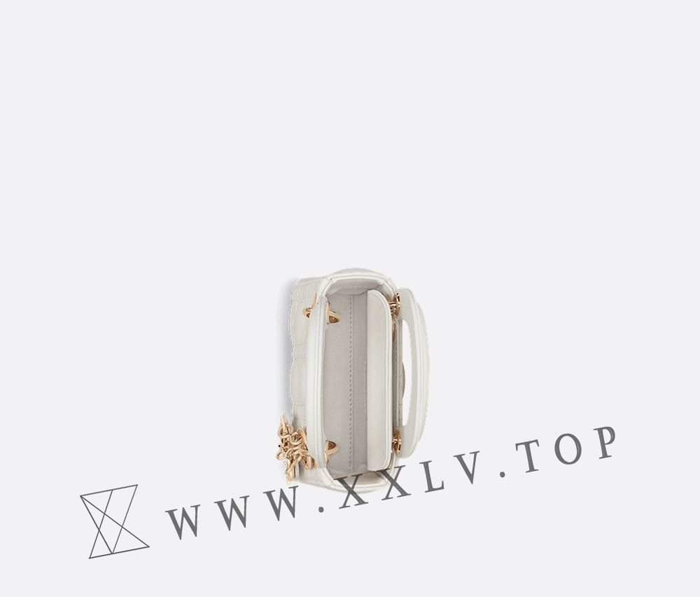Lady Dior Micro Bag - Image 4
