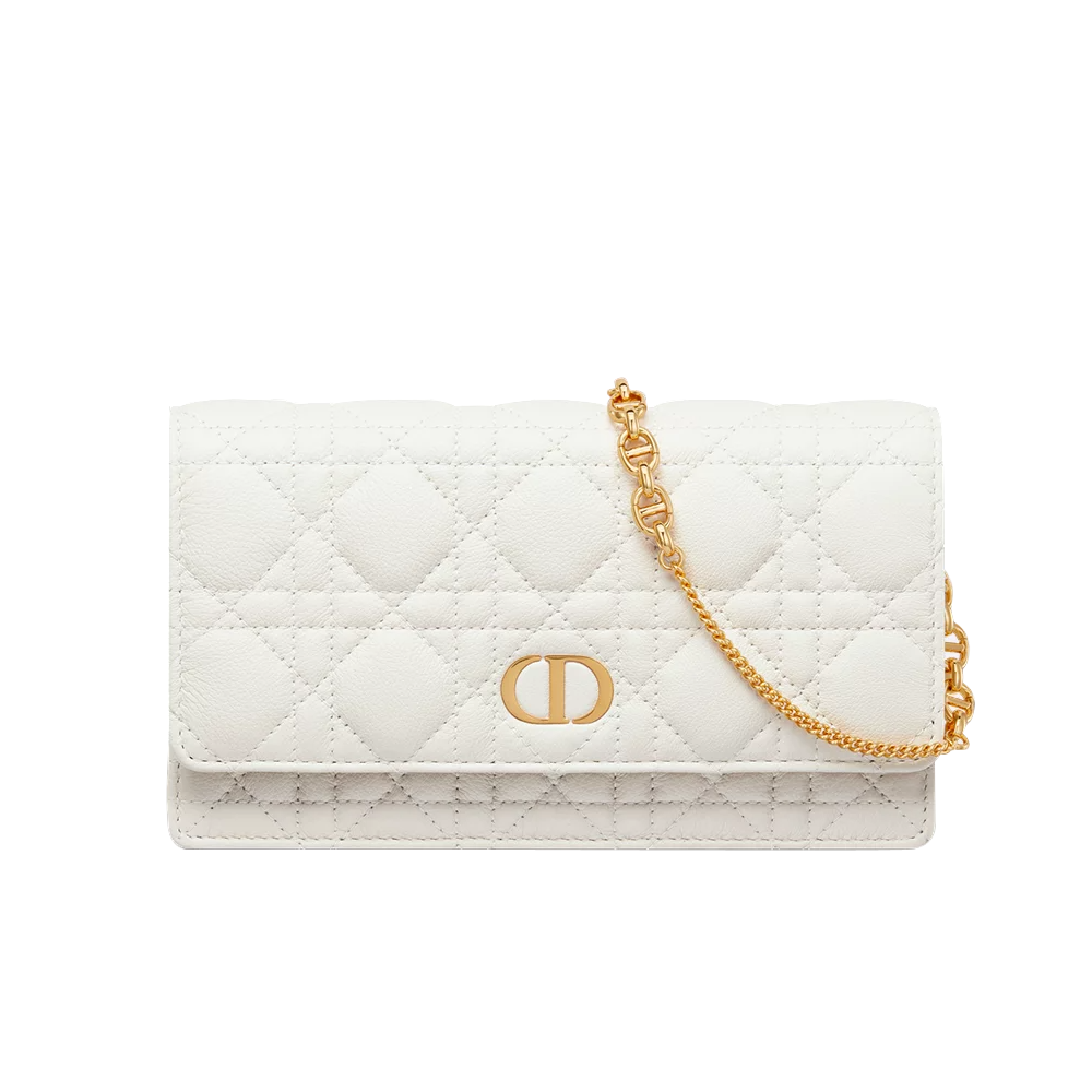 Dior Caro Pouch with Chain