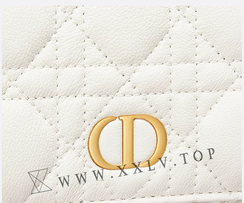 Dior Caro Pouch with Chain - Image 2