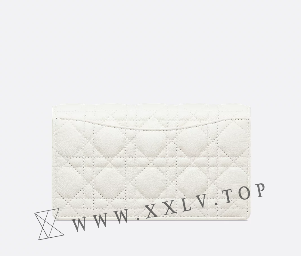 Dior Caro Pouch with Chain - Image 3
