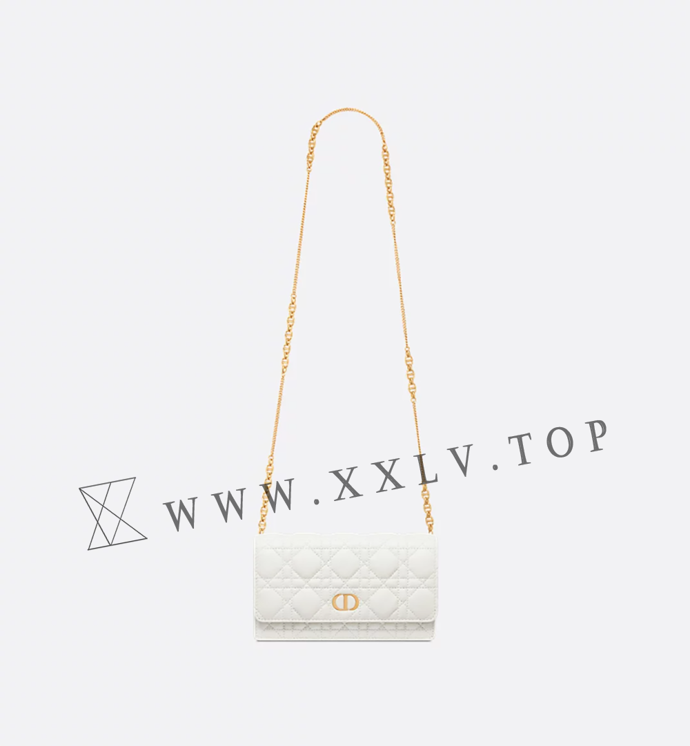 Dior Caro Pouch with Chain - Image 4