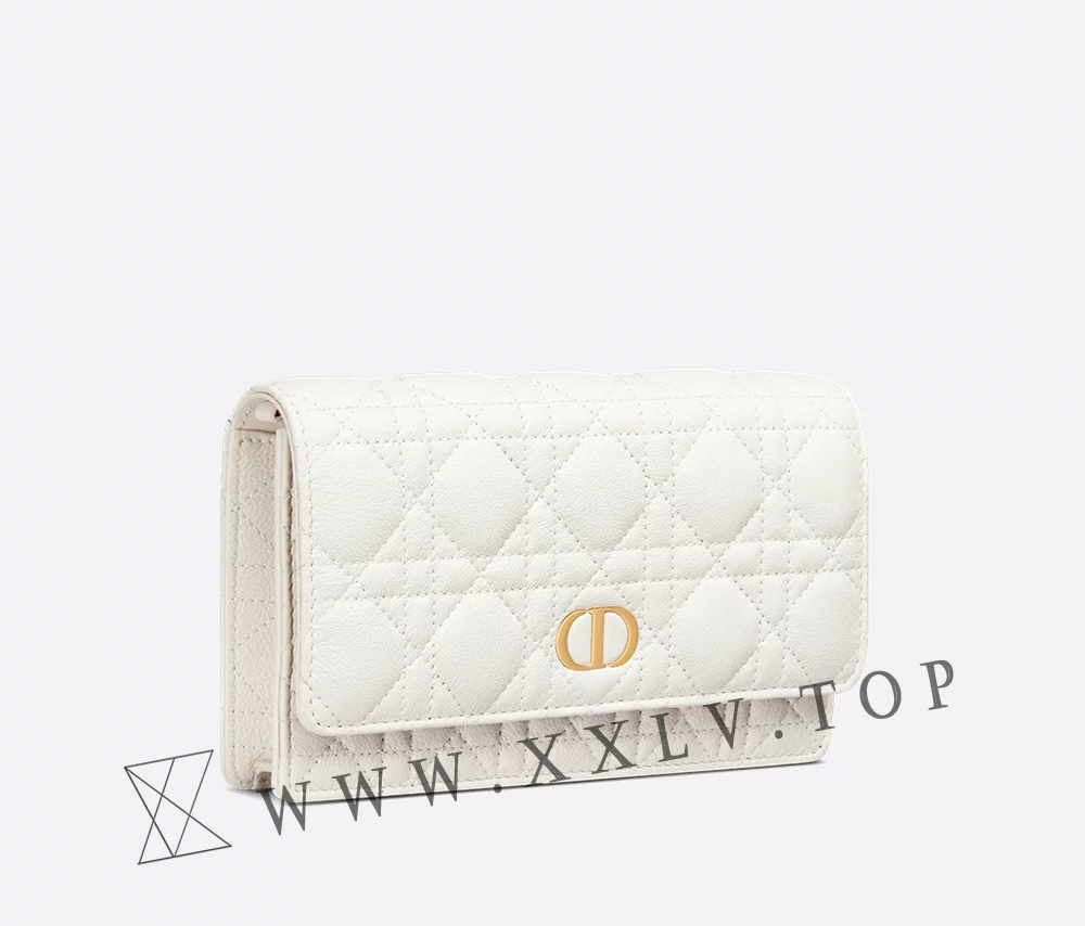 Dior Caro Pouch with Chain - Image 6