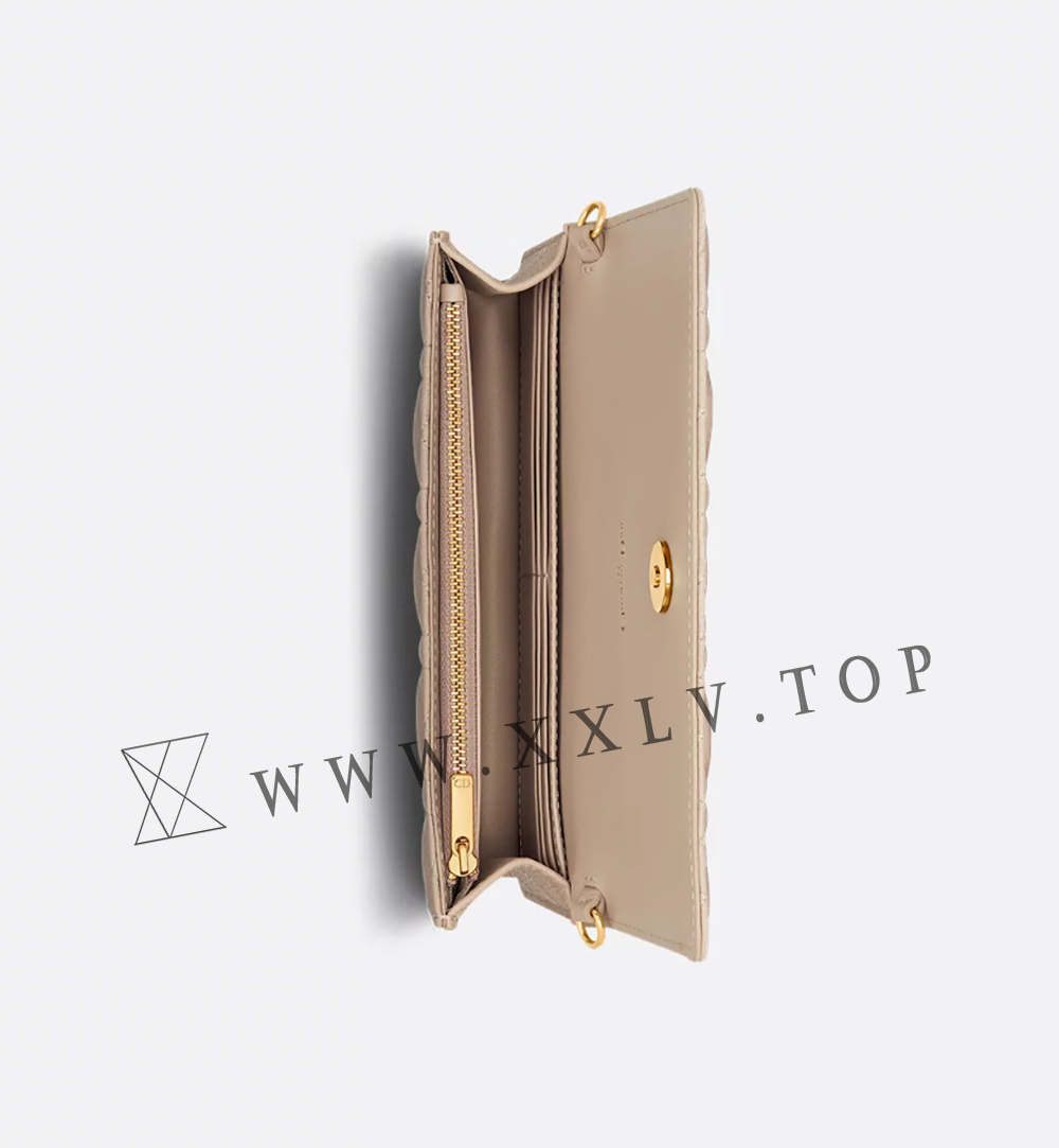Dior Caro Pouch with Chain - Image 5