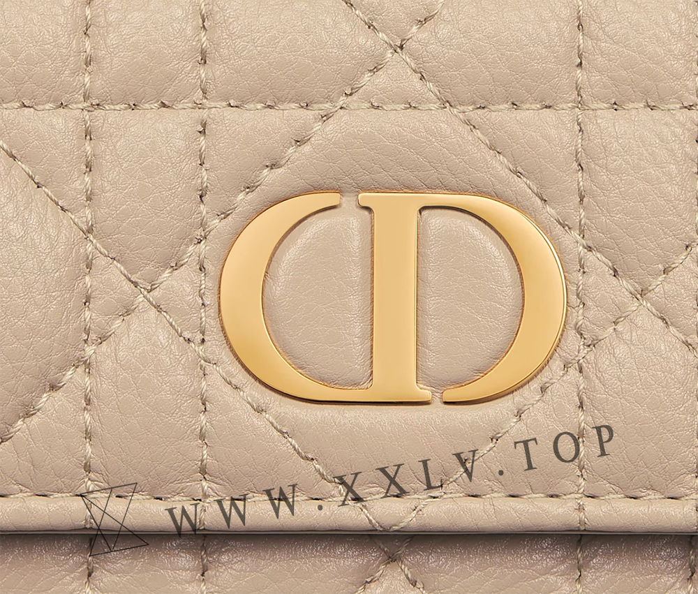 Dior Caro Pouch with Chain - Image 2