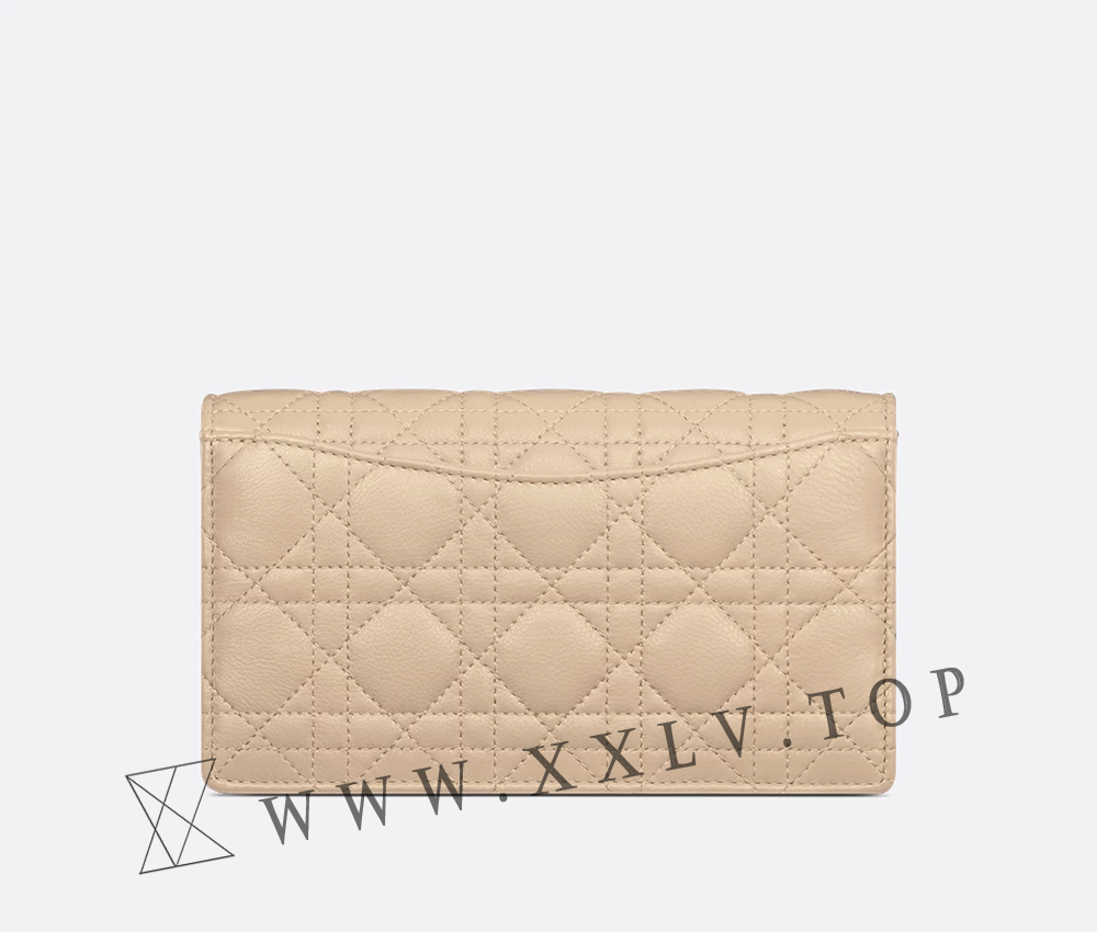 Dior Caro Pouch with Chain - Image 3