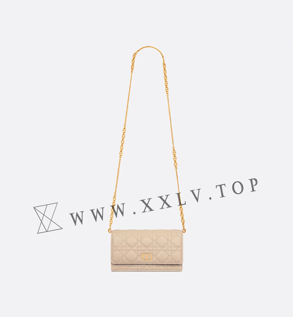 Dior Caro Pouch with Chain - Image 4