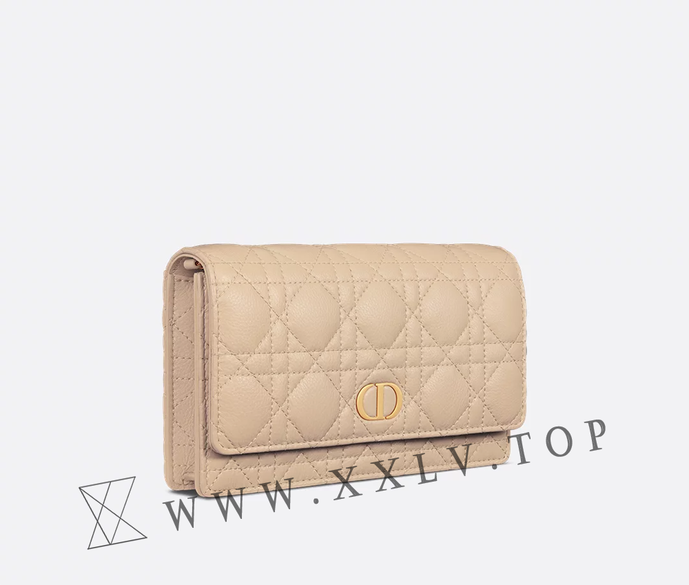 Dior Caro Pouch with Chain - Image 6