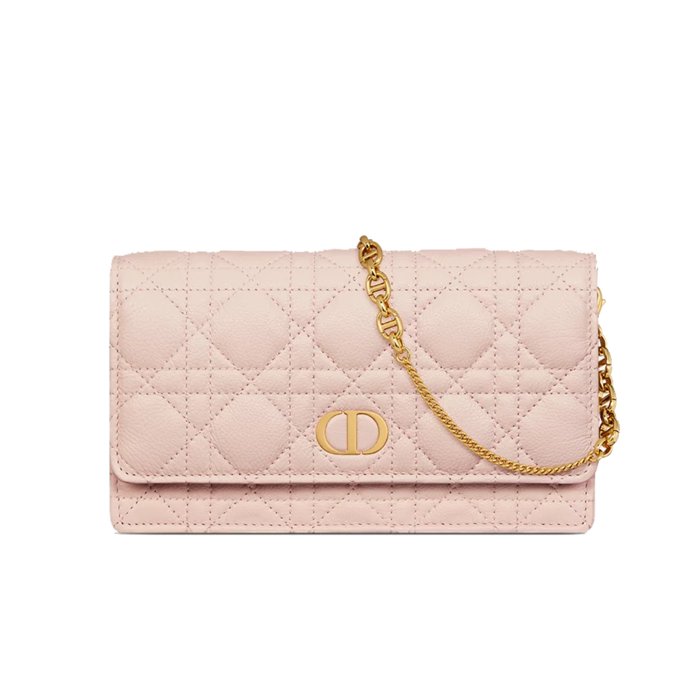 Dior Caro Pouch with Chain