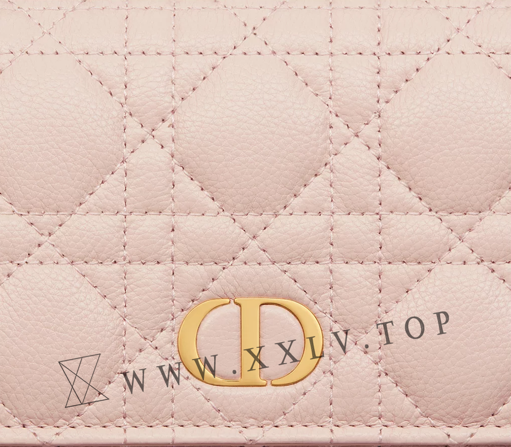 Dior Caro Pouch with Chain - Image 2