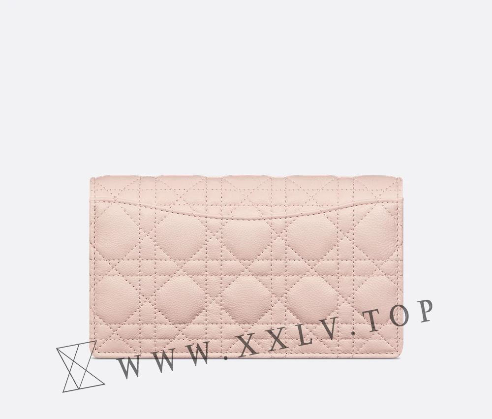 Dior Caro Pouch with Chain - Image 3