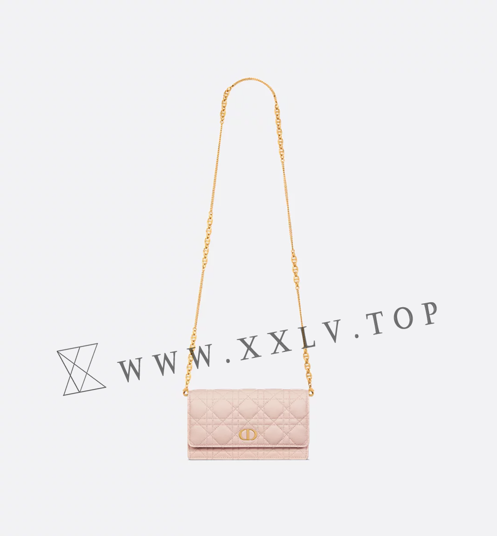 Dior Caro Pouch with Chain - Image 4