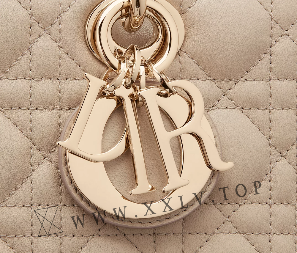 Medium Lady D-Joy Bag - Image 2