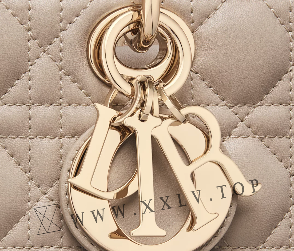 Medium Lady D-Joy Bag - Image 2