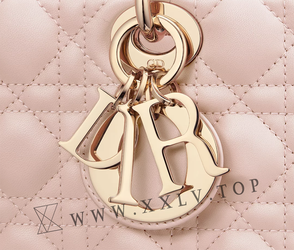 Medium Lady D-Joy Bag - Image 2