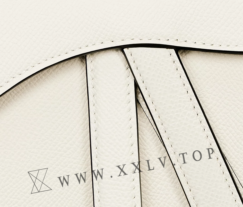 Mini Saddle Bag with Strap - Image 2