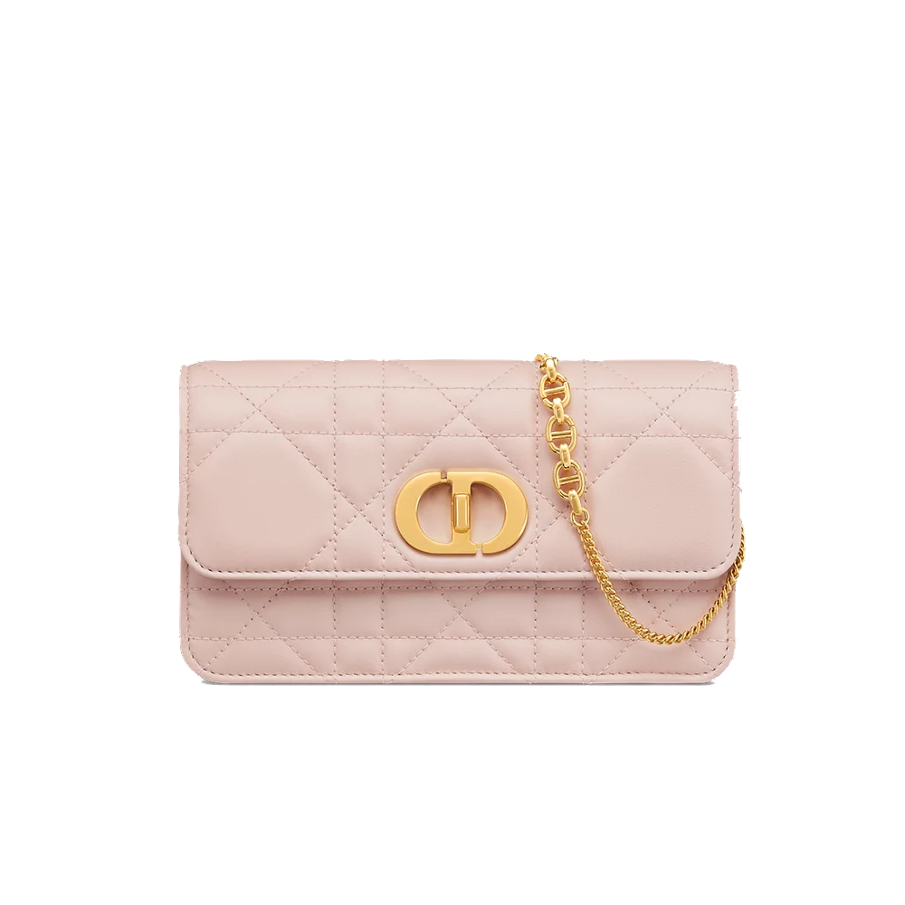 Miss Caro Pouch with Chain