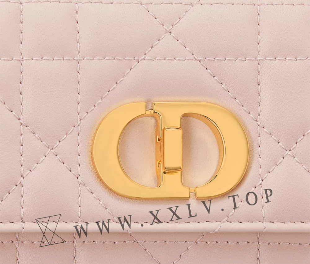 Miss Caro Pouch with Chain - Image 2