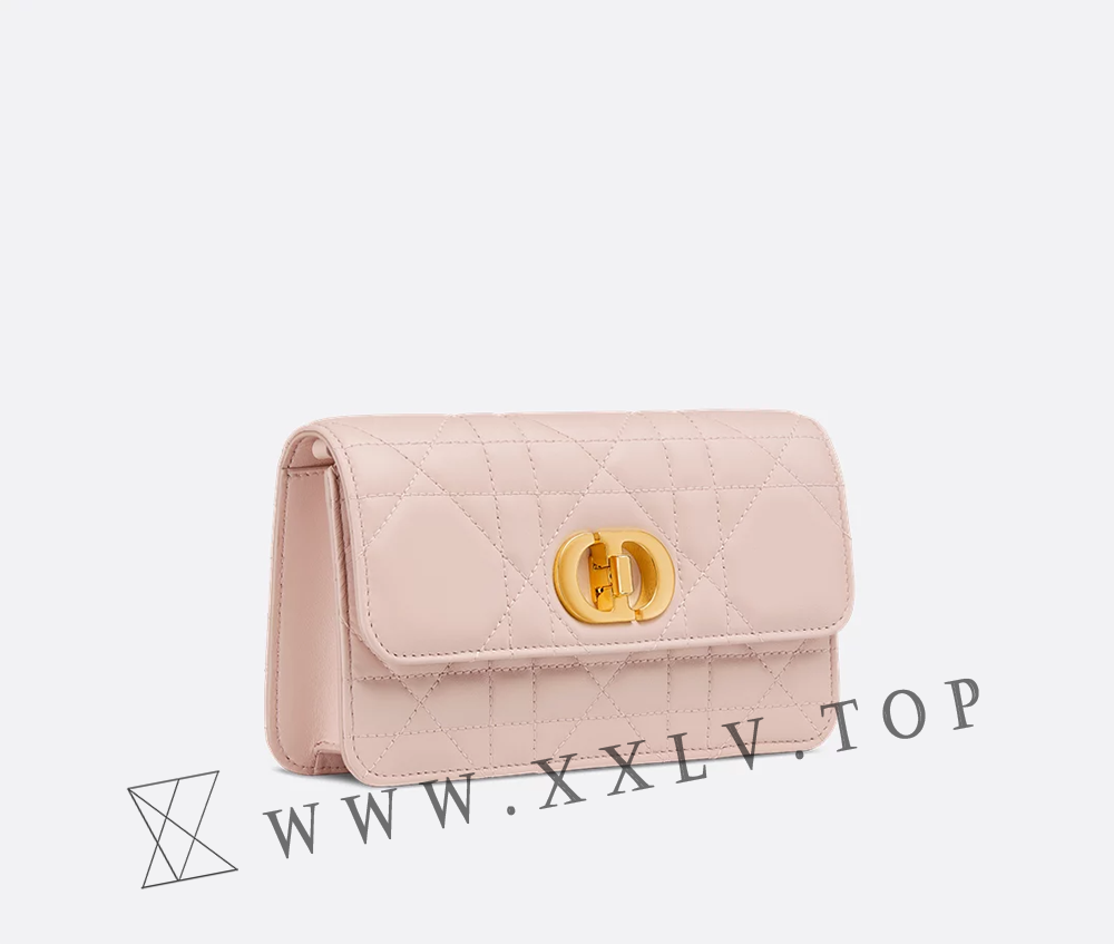 Miss Caro Pouch with Chain - Image 5