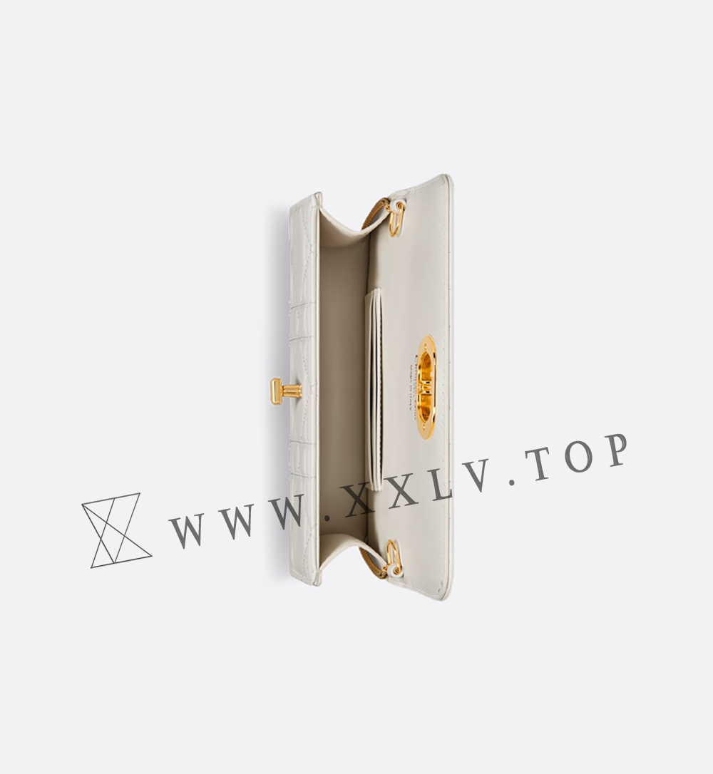 Miss Caro Pouch with Chain - Image 4