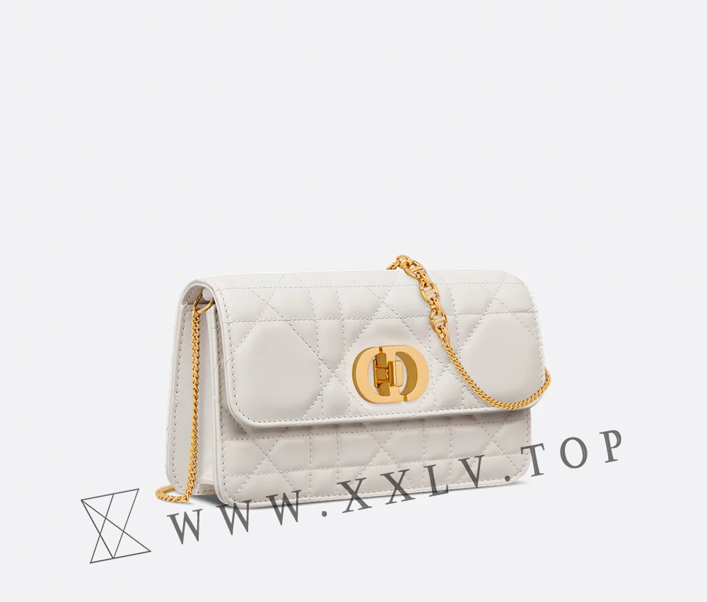 Miss Caro Pouch with Chain - Image 5