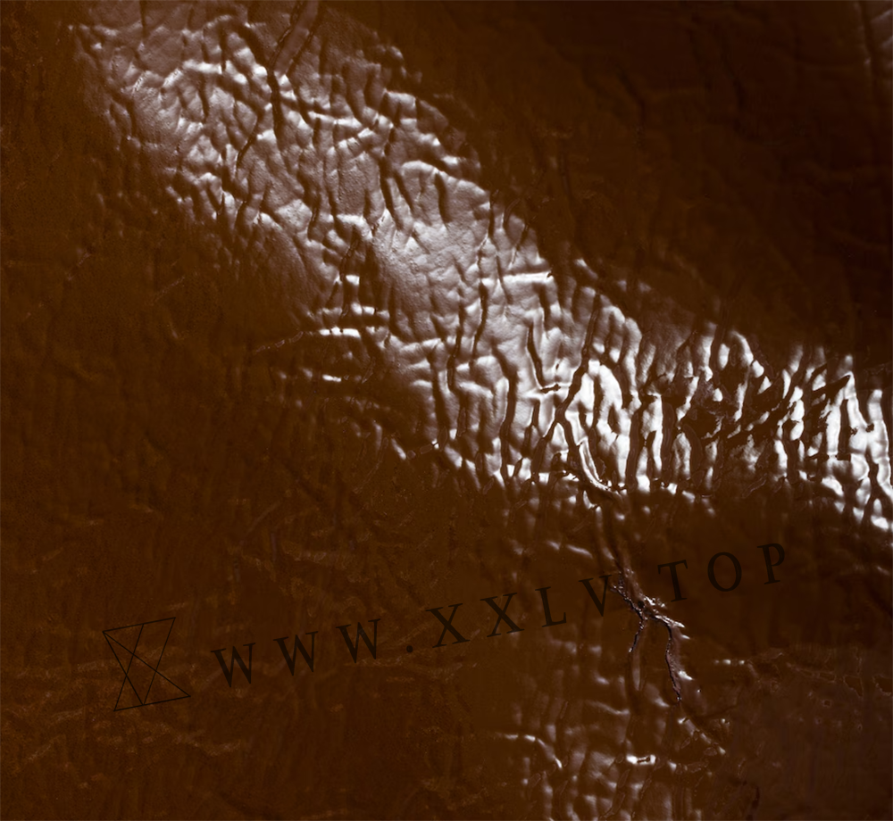 IVY naplak patent leather bag - Image 2