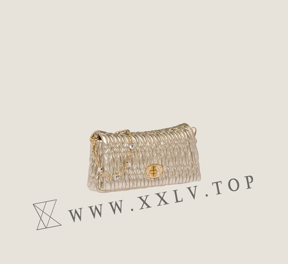 Miu Crystal Cloqué Nappa leather bag - Image 5
