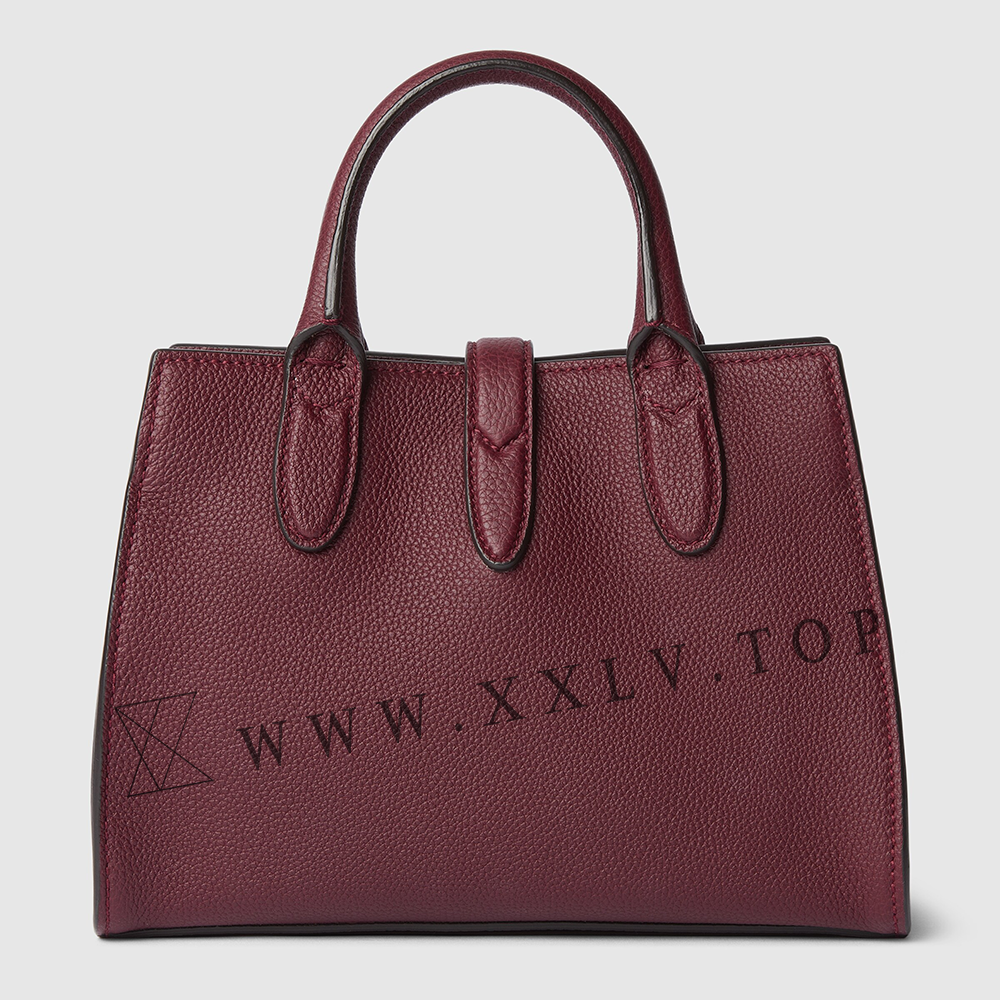 Small tote bag with hook closure - Image 6