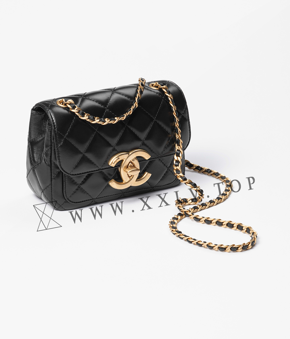 Mini Flap Bag - Image 5