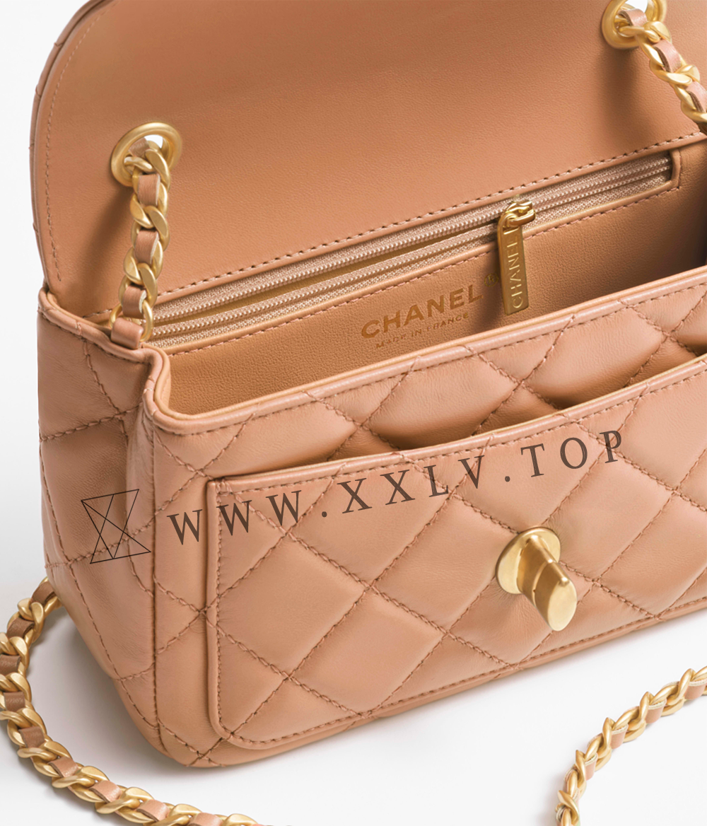 Mini Flap Bag - Image 5