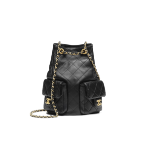 AS5310  Backpack