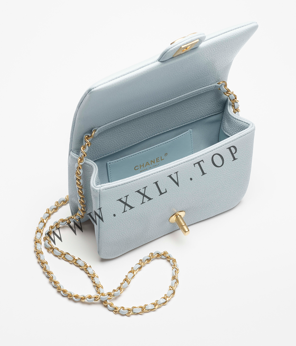 Mini Flap Bag - Image 5