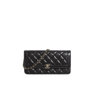 Clutch with Chain