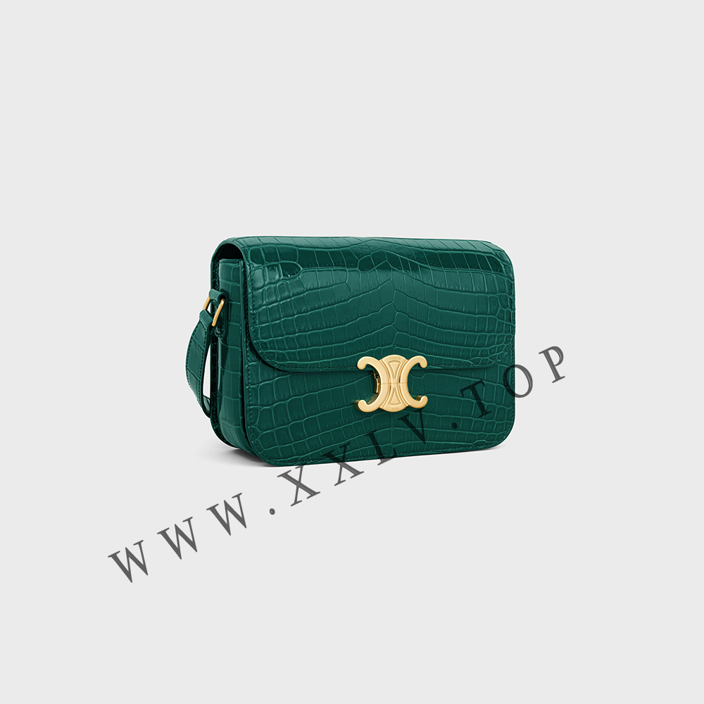 CLASSIQUE TRIOMPHE BAG in Niloticus Crocodile - Image 4