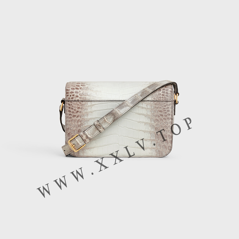 CLASSIQUE TRIOMPHE BAG in Niloticus Crocodile - Image 5