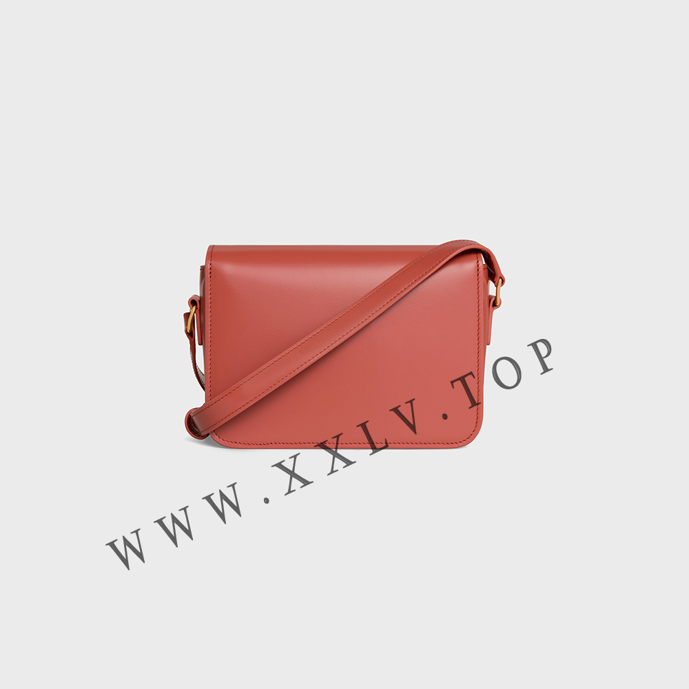 Teen Triomphe Bag in shiny calfskin - Image 5
