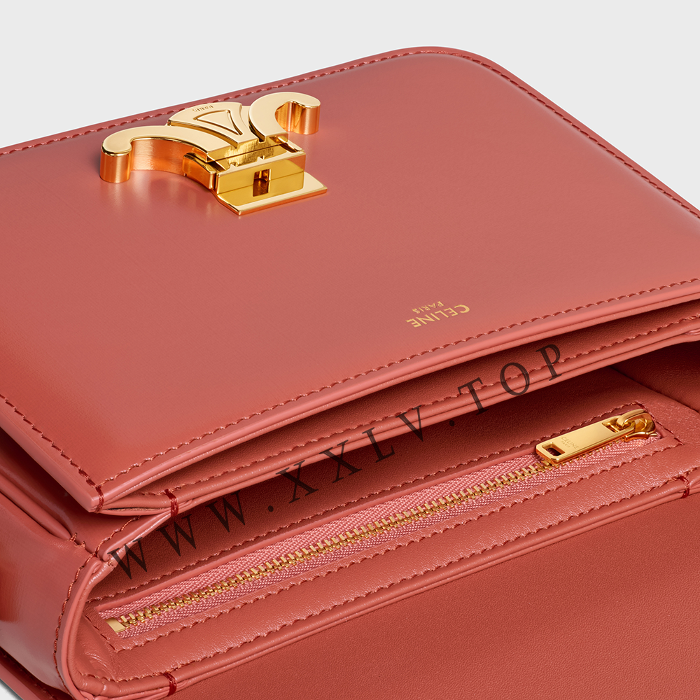 Teen Triomphe Bag in shiny calfskin - Image 4