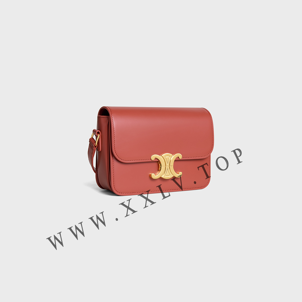 Teen Triomphe Bag in shiny calfskin - Image 3