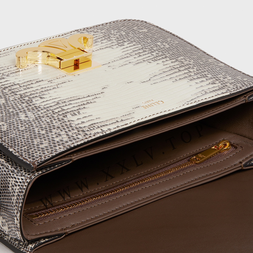 Teen Triomphe Bag in Lizard - Image 5