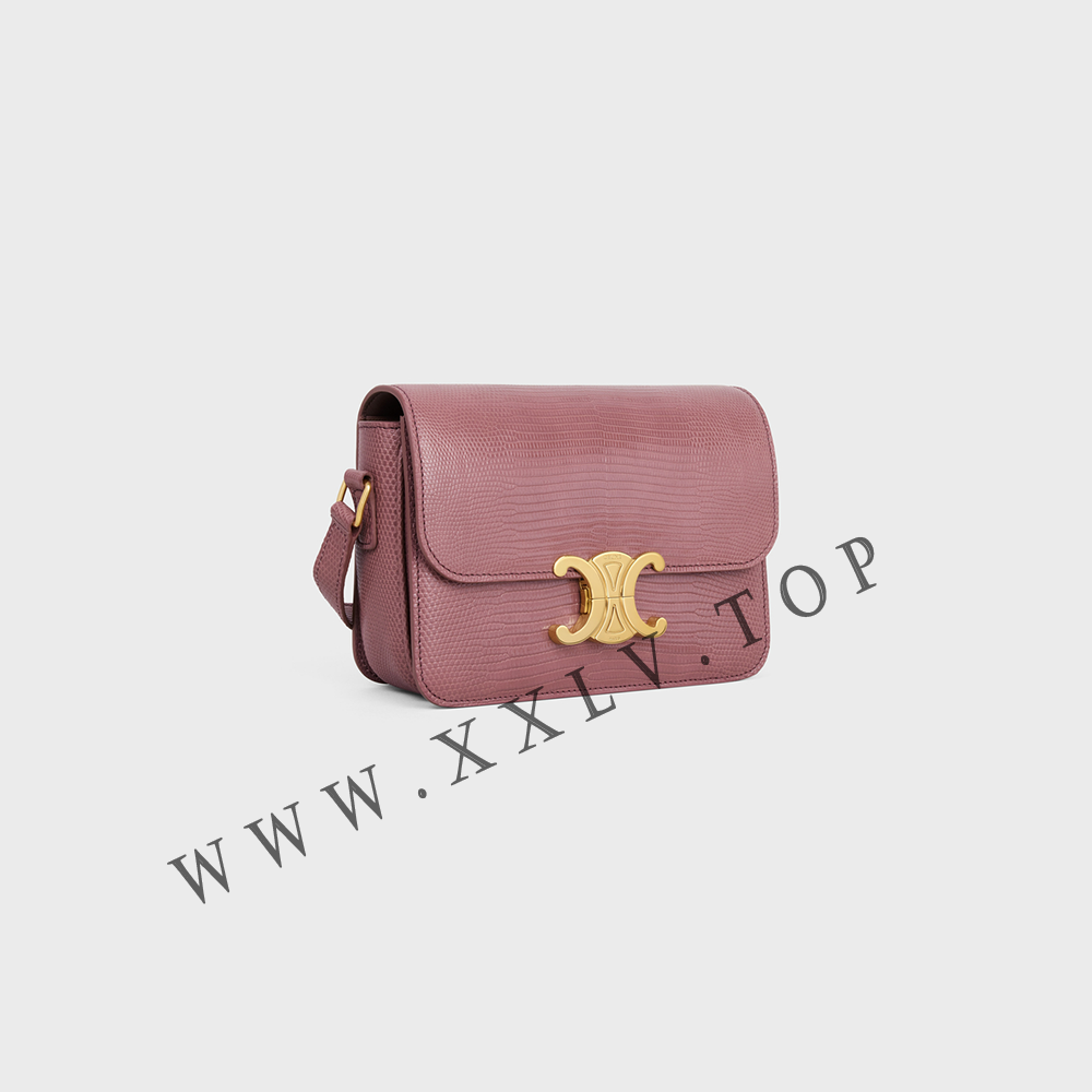 Teen Triomphe Bag in lizard - Image 5