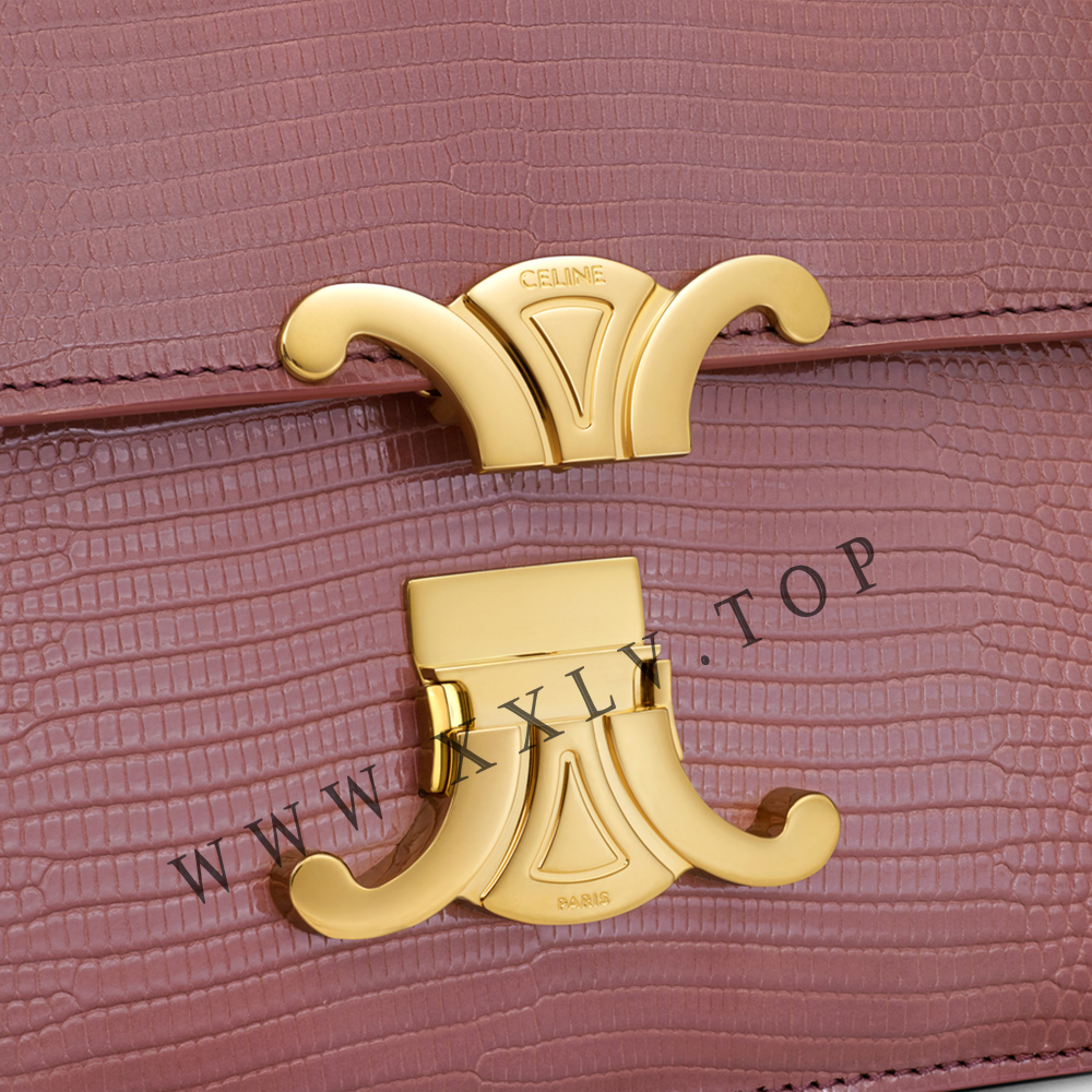 Teen Triomphe Bag in lizard - Image 4
