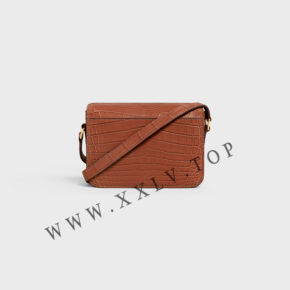 Teen Triomphe Bag in Crocodile - Image 2